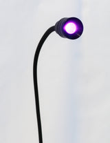UV Lamp