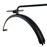 Moon Glow Beauty LED Light